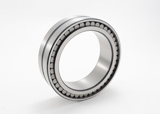 No Cage Double Row Full Complement Cylindrical Roller Bearings SL02 4912 SL02 4922