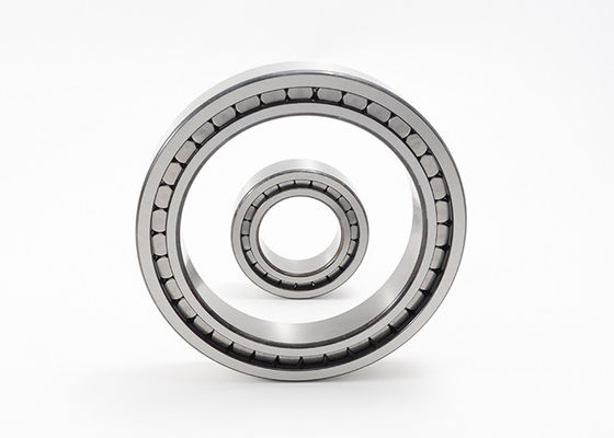 Full Complement Single Row Roller Bearing SL183020 SL183012 SL183036